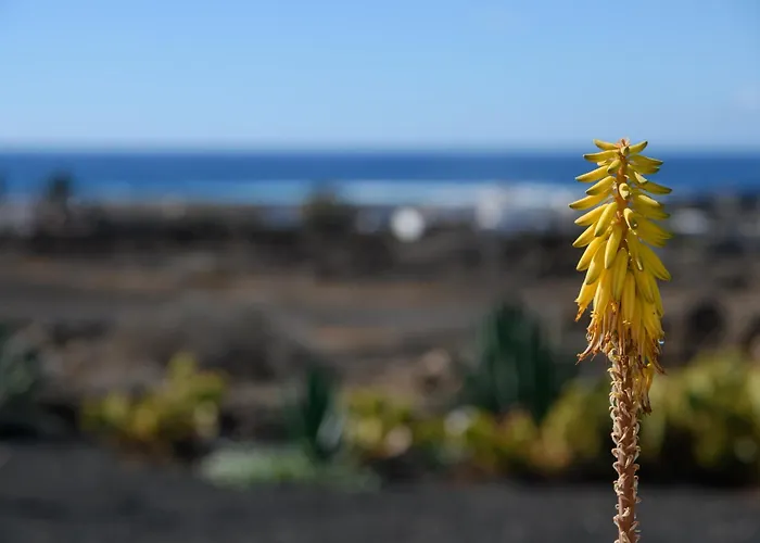 Casa Sas La Hoya Yaiza (Lanzarote)